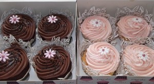 Clever Cupcakes